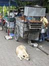 img_1076 * 768 x 1024 * (131KB)