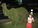 img_1118 * 1200 x 900 * (212KB)