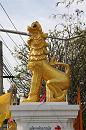 img_1129 * 683 x 1024 * (149KB)