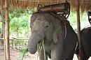 img_1227 * 1200 x 800 * (167KB)