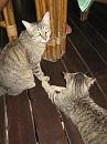 img_1295 * 768 x 1024 * (139KB)