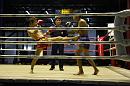 img_1367 * 1200 x 800 * (126KB)