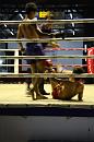 img_1379 * 683 x 1024 * (85KB)