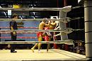 img_1390 * 1200 x 800 * (129KB)