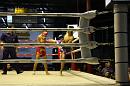 img_1393 * 1200 x 800 * (119KB)