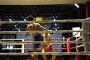 img_1397 * 1200 x 800 * (110KB)