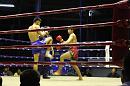 img_1465 * 1200 x 800 * (113KB)