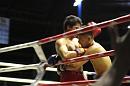 img_1484 * 1200 x 800 * (78KB)