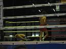 img_1495 * 1200 x 900 * (120KB)
