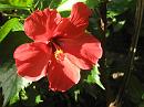 img_1533 * 1200 x 900 * (105KB)