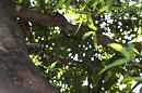 img_1711 * 1200 x 800 * (130KB)