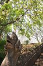 img_1744 * 800 x 1200 * (283KB)