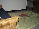 img_1820 * 1200 x 900 * (122KB)