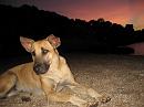 img_2006 * 1200 x 900 * (135KB)
