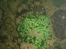 img_2419 * 1200 x 900 * (153KB)