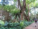 img_2850 * 1200 x 900 * (296KB)