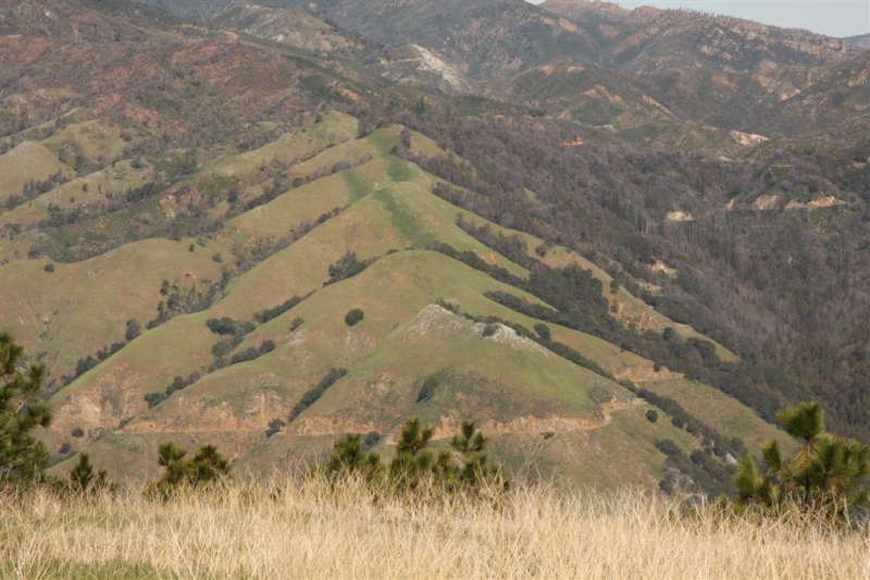 big_sur_106.jpg